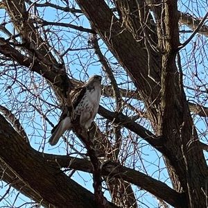 Meet your Posher, Prosper